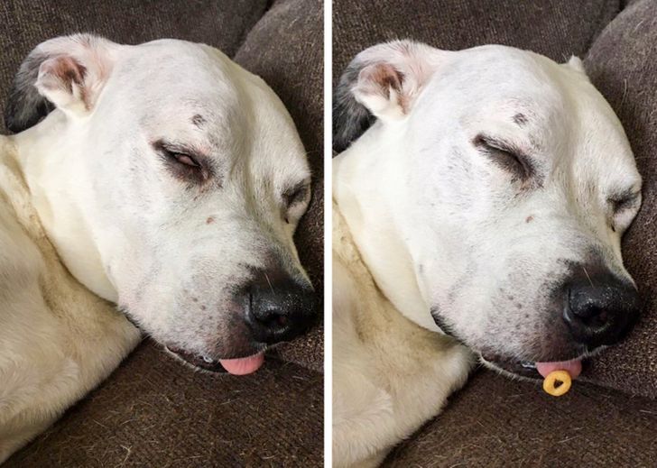 4b8b9c5df4a64cfcb2cc064bf3