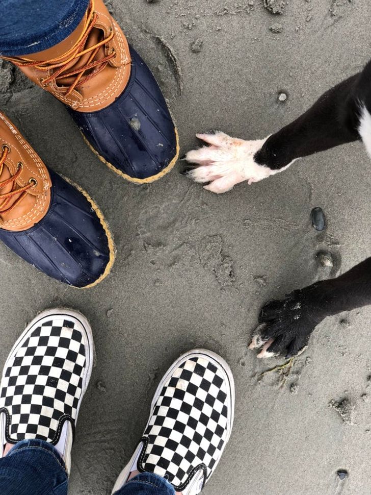 4b8e81519f8990c56bd91b0080