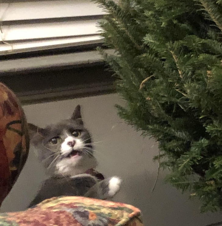 4b8f0b53c58ca5b2a9745e0108 4b8f0b53c58ca5b2a9745e0108