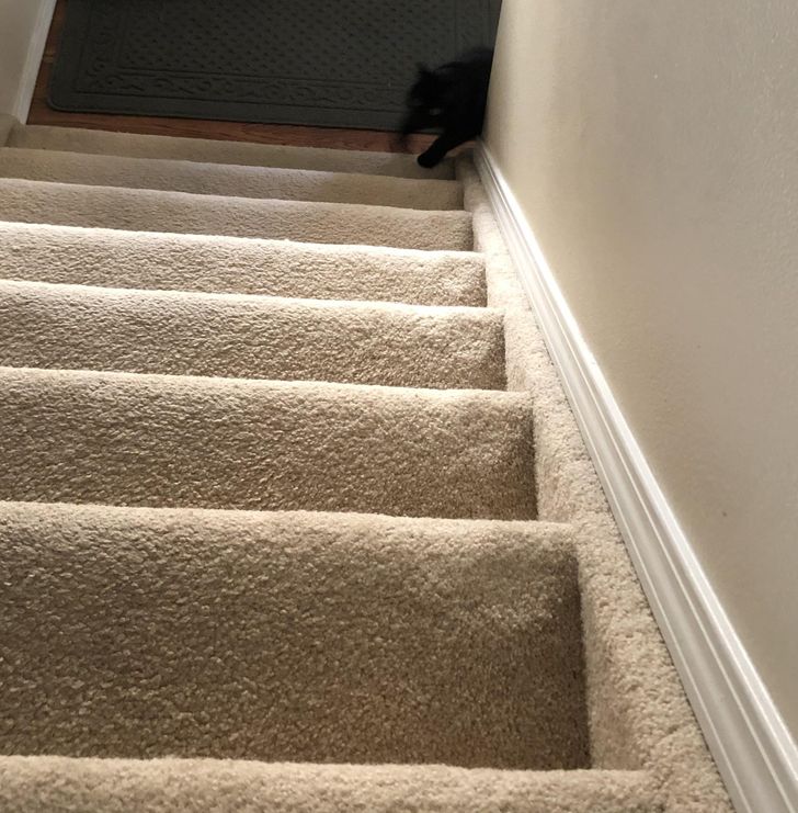 4b9280586298d5685560b4de65