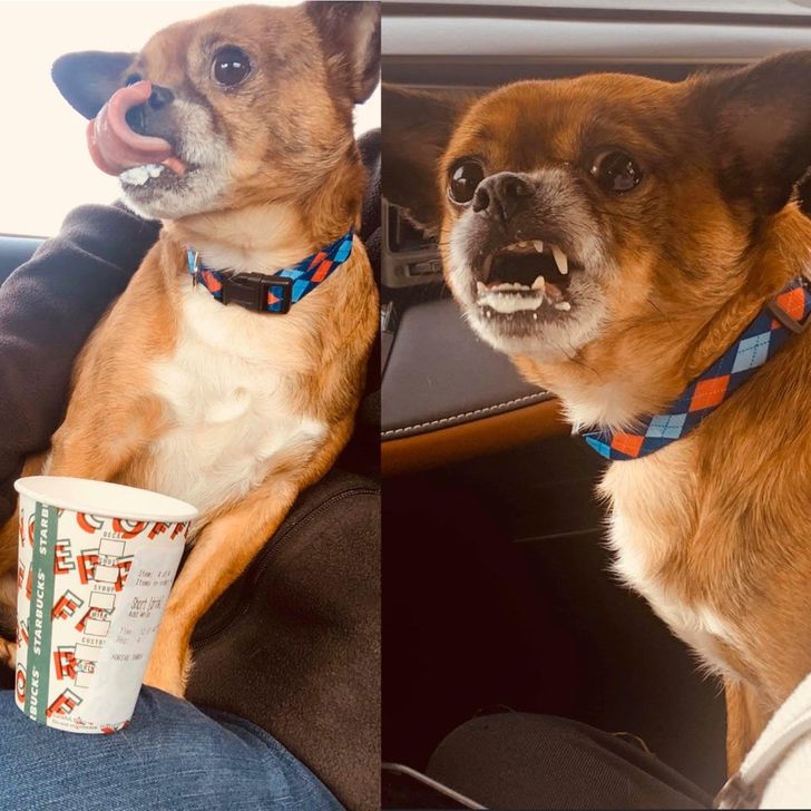 4b946556a3b48f0a6f69400964