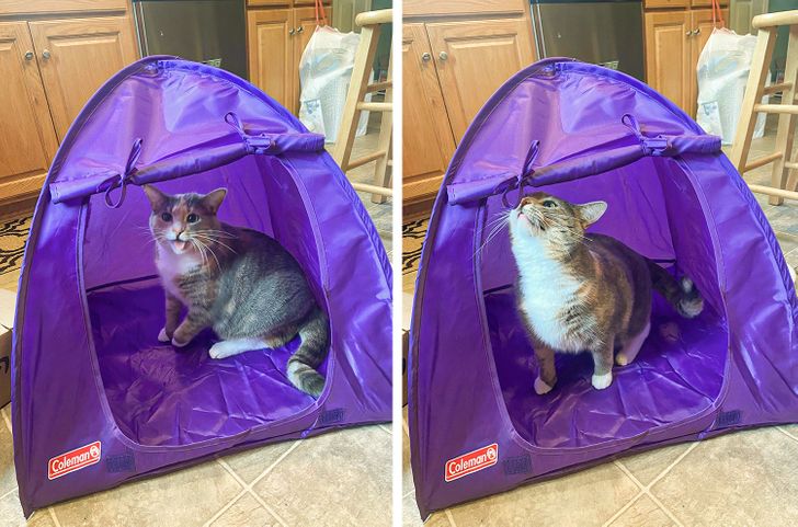 4b9a905c46bb020f9ebe4492cc 4b9a905c46bb020f9ebe4492cc