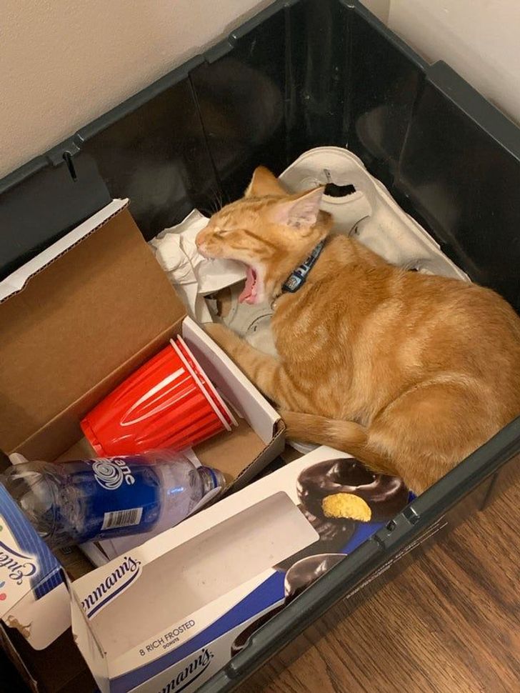 4ba34e5ee6b704aea0bc5843d3