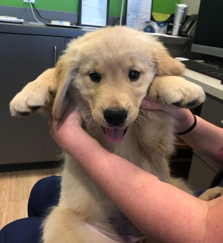 4baf875c01a9373c091950ba7a