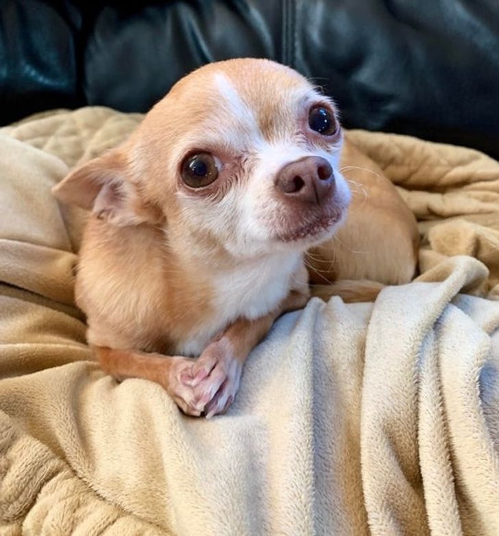 4bb08b5c03b4cd1815f6e76174