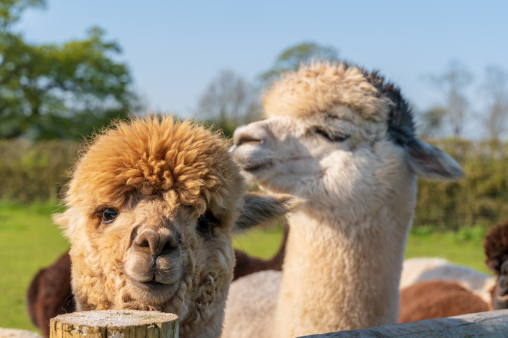 4bb7355d51a420daa1d6ea9836