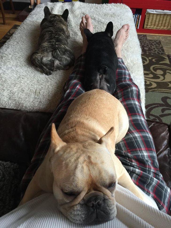 4bbcd6503689faca1363810cc5