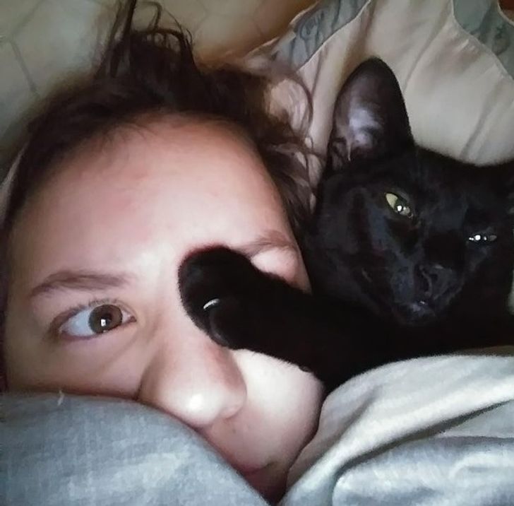 4bbebf529990efb853325914e2