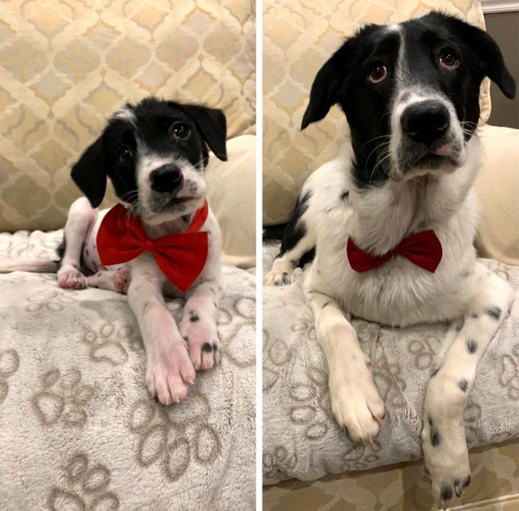 4bc8525105818e19459ac09473