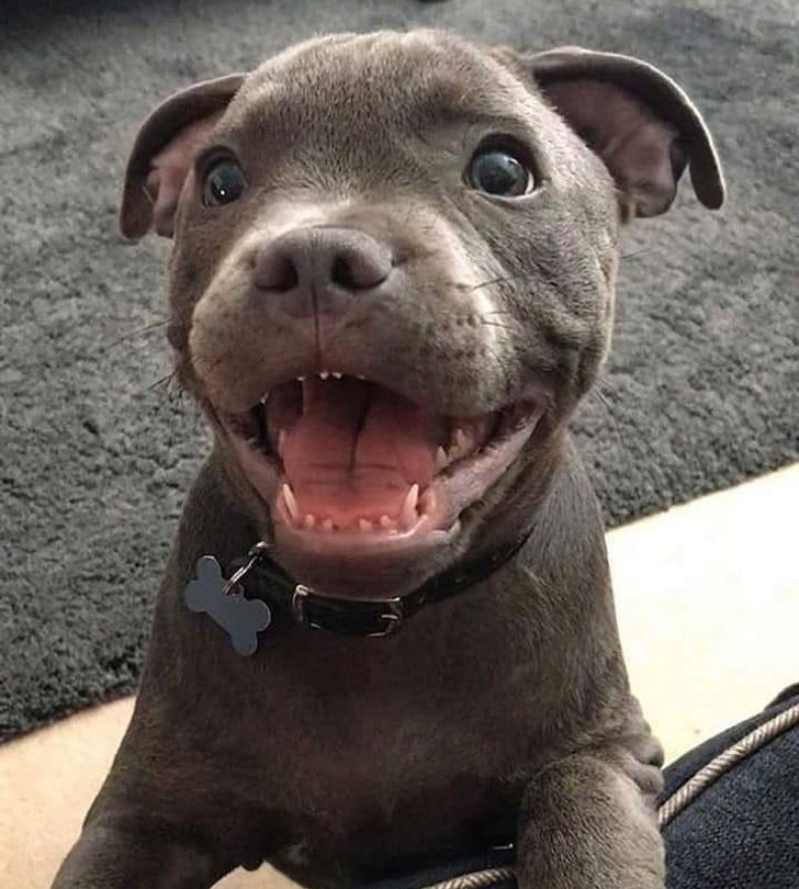 4bd0505e198fe083a7d86ff6f0