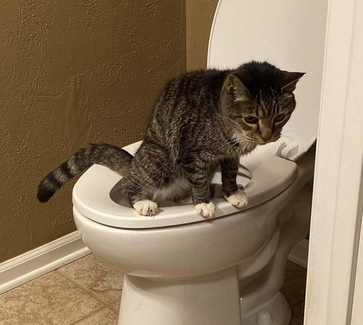 4bd7045a008173cf568359a26b 4bd7045a008173cf568359a26b