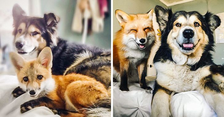 4bde1e5aa0966a65b586e15a5b