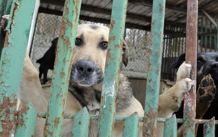 4beb415687818b4dd4a76be718