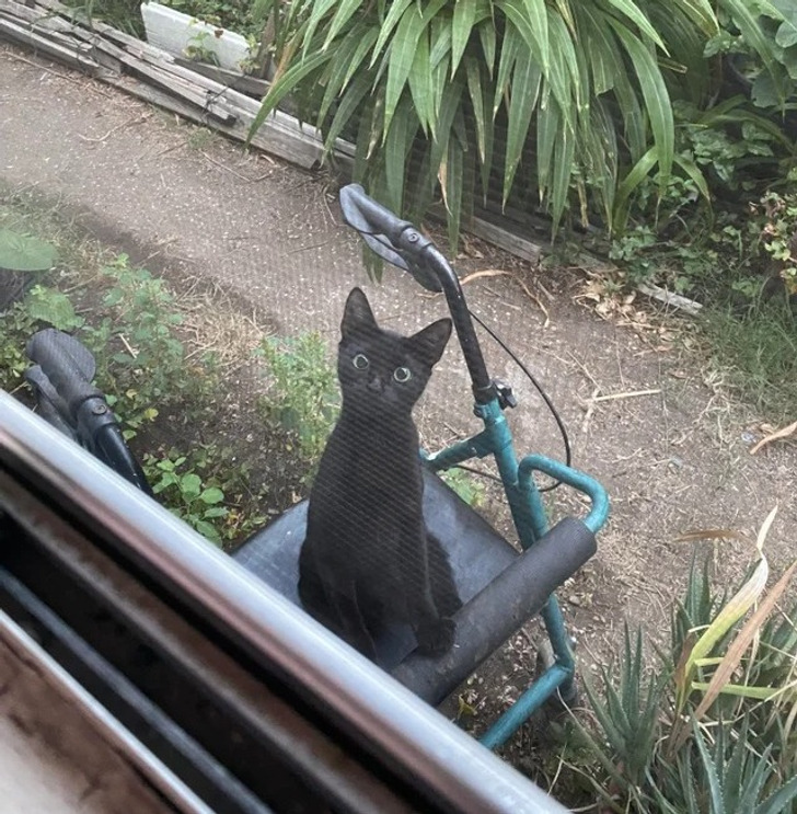 4bef4951cfbe9a41e62ed967a3