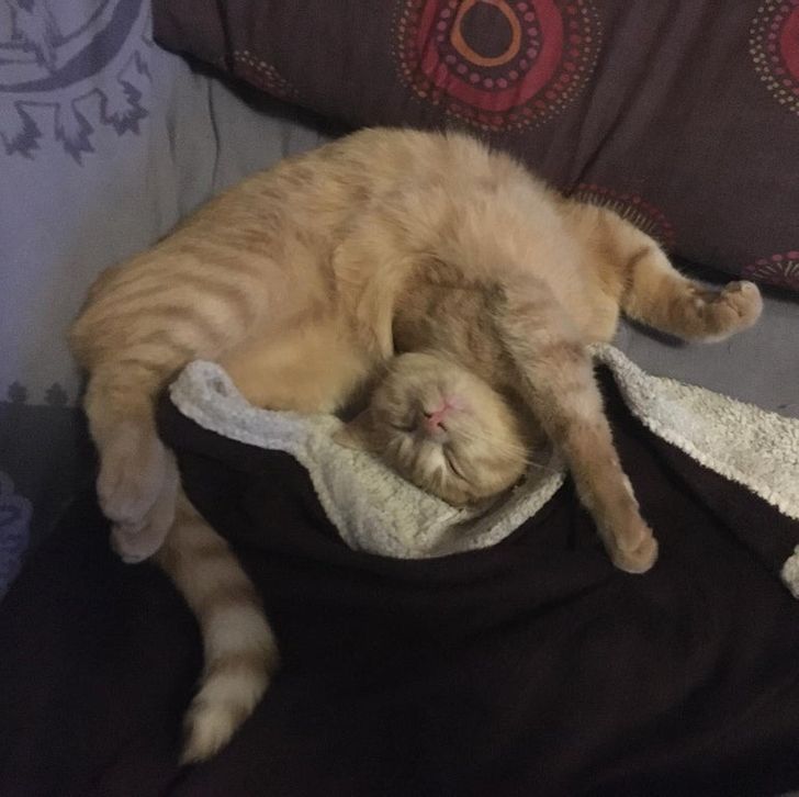 4bf18557429a12576d3dd60ec4