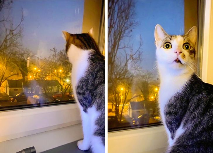 4bffca5d5c8d3fd8ff769980da