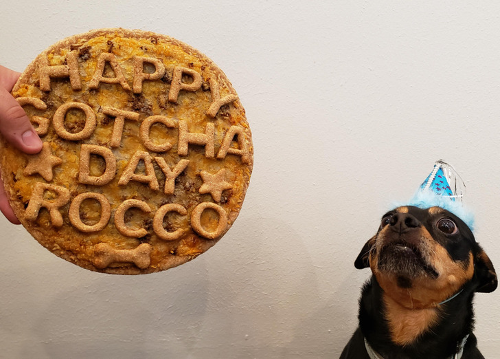 4c01c05d48b7c1674303ac21cc