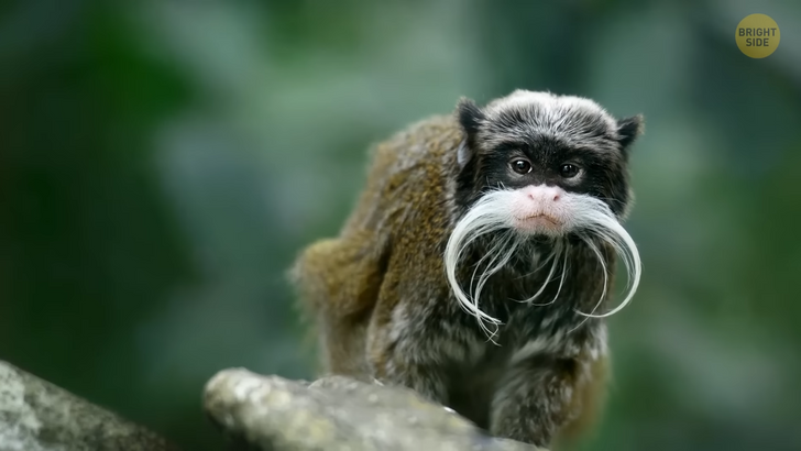 4c02f755f187a97a73484fc9f0