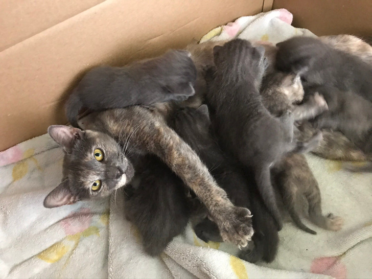 4c1ed053ed9db8c44bdf21d358 4c1ed053ed9db8c44bdf21d358