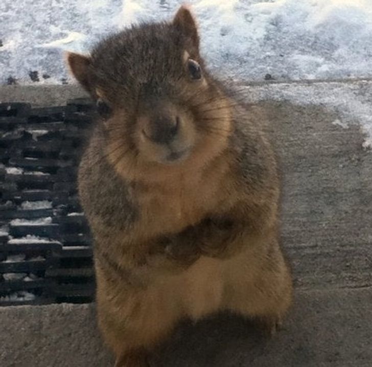 4c2810585d8822f01347ad3067