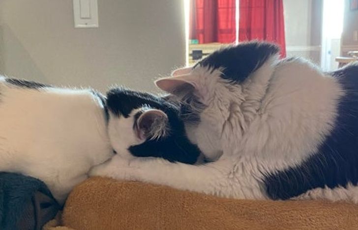 4c2ae75bdda3e3093c3ffb969f