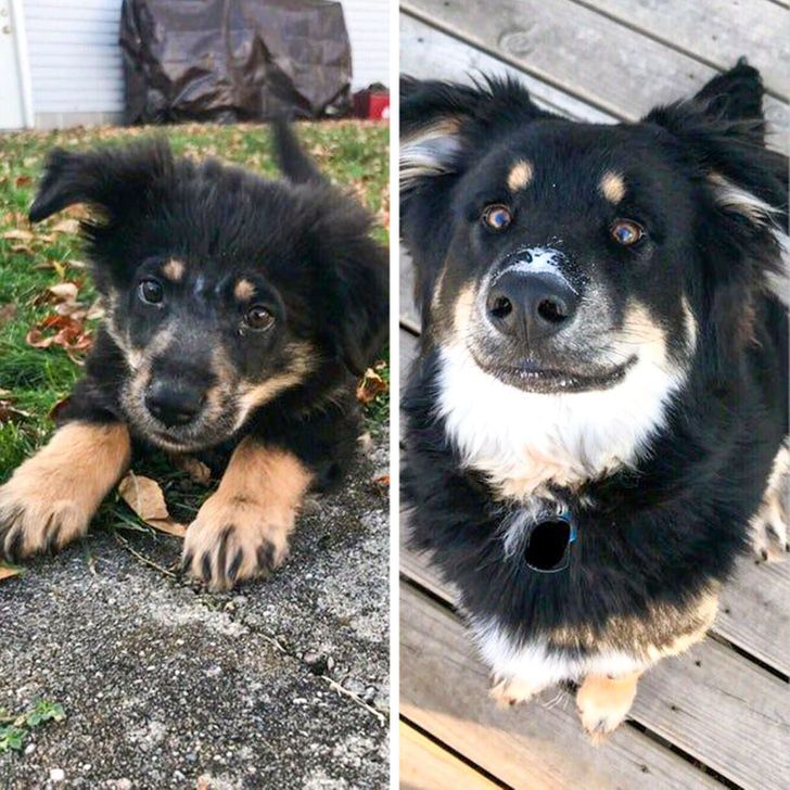 4c2b0152779f780852943ed102