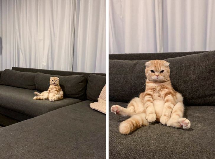 4c33aa5bf6b80b11595de46f36