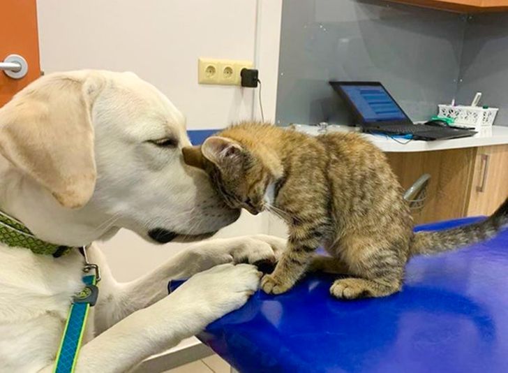 4c3477505d95a84e652d4008ec