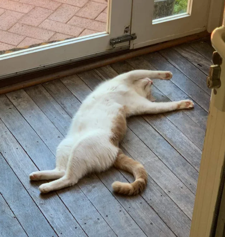 4c3af8554d9074c0a5121e0070