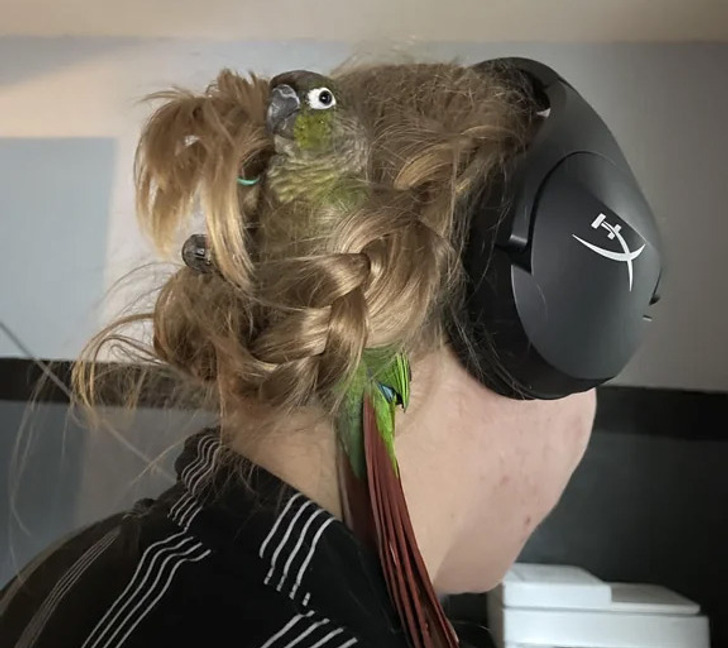 4c453a54c3ba6c6df8e3f579bf 4c453a54c3ba6c6df8e3f579bf