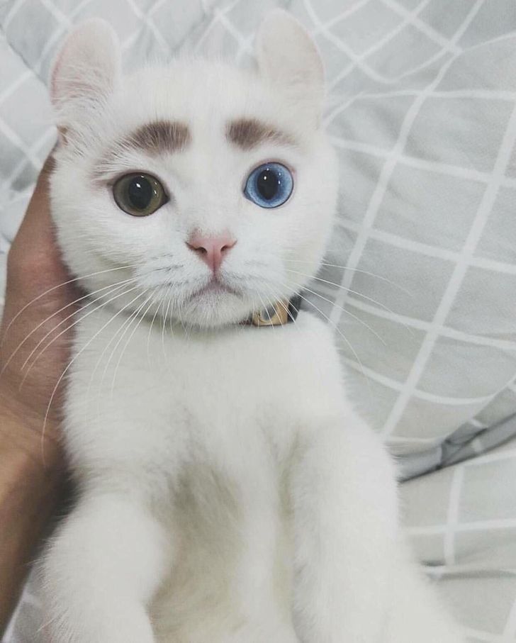 4c527a51198252b11f380dfda6