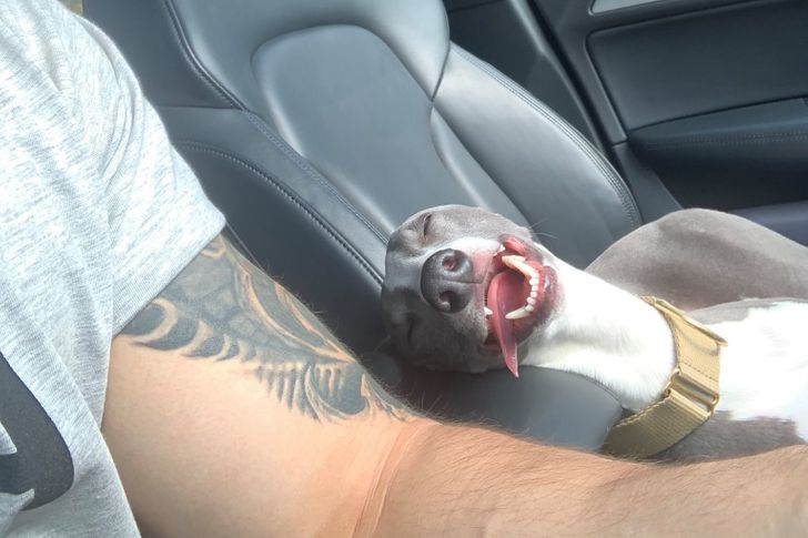 4c59bb5a56959cea67a29f816c