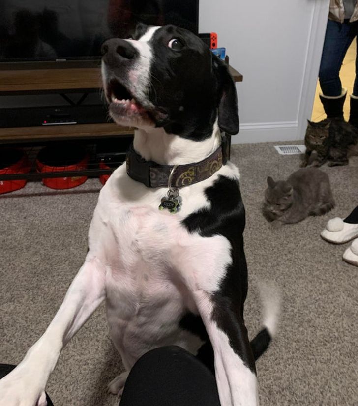 4c5f9152829212aa7e9dea1df6