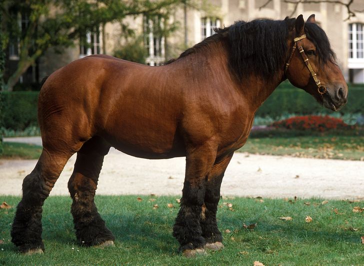 4c62ea54d48a2fb768201ee54a