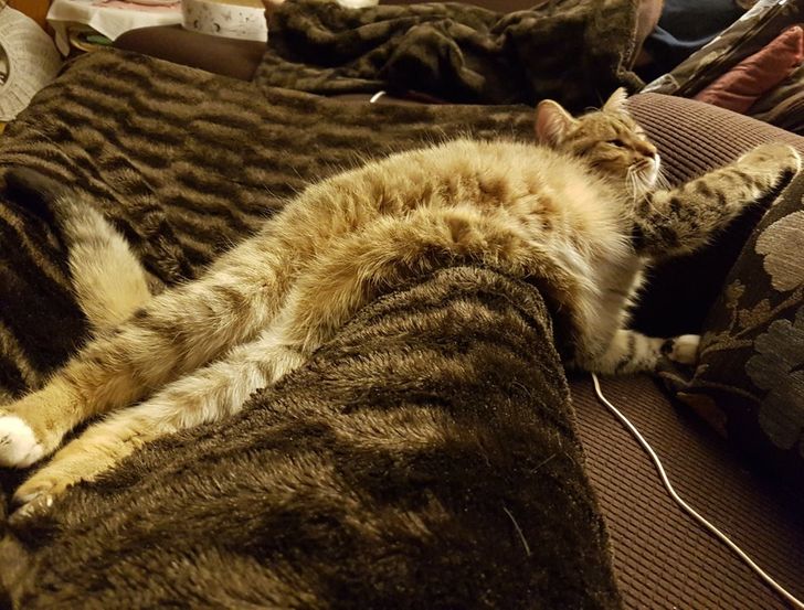 4c62fe5caabaf797bdaa3a3ddd