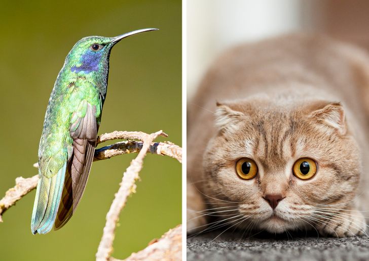 4c682354ecb847a28df5abf26a