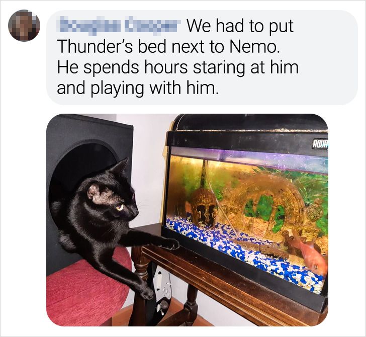 4c7dcc56479776a4652b1d4108