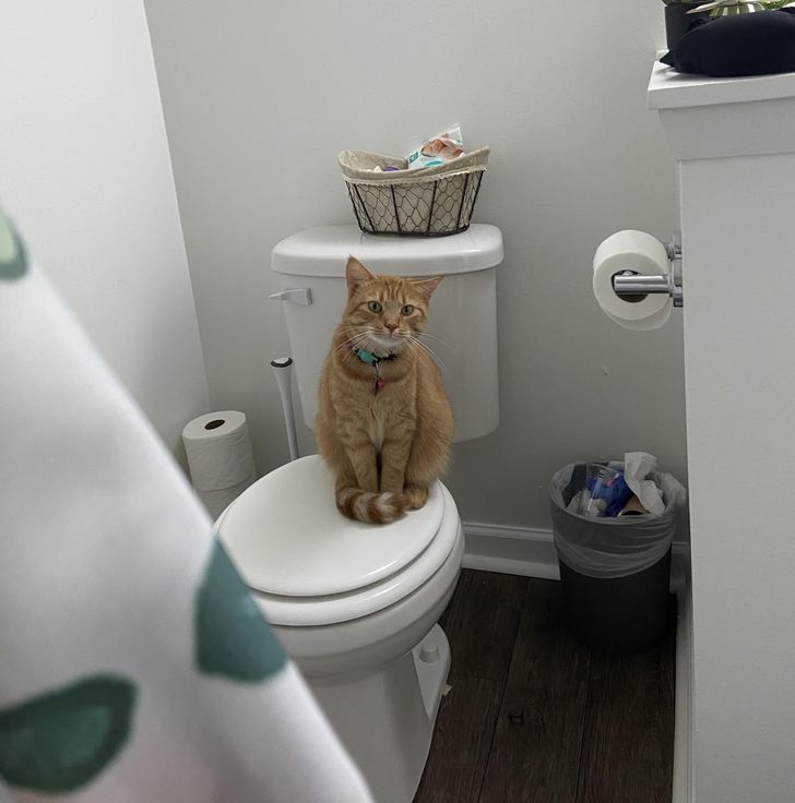 4c83dd557e81848dbfd0849388