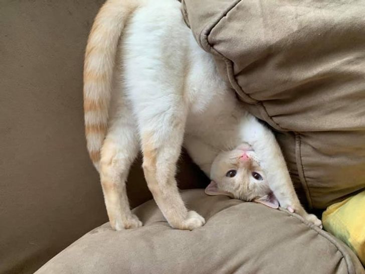 4c8ed6510499a8175ad1226c28