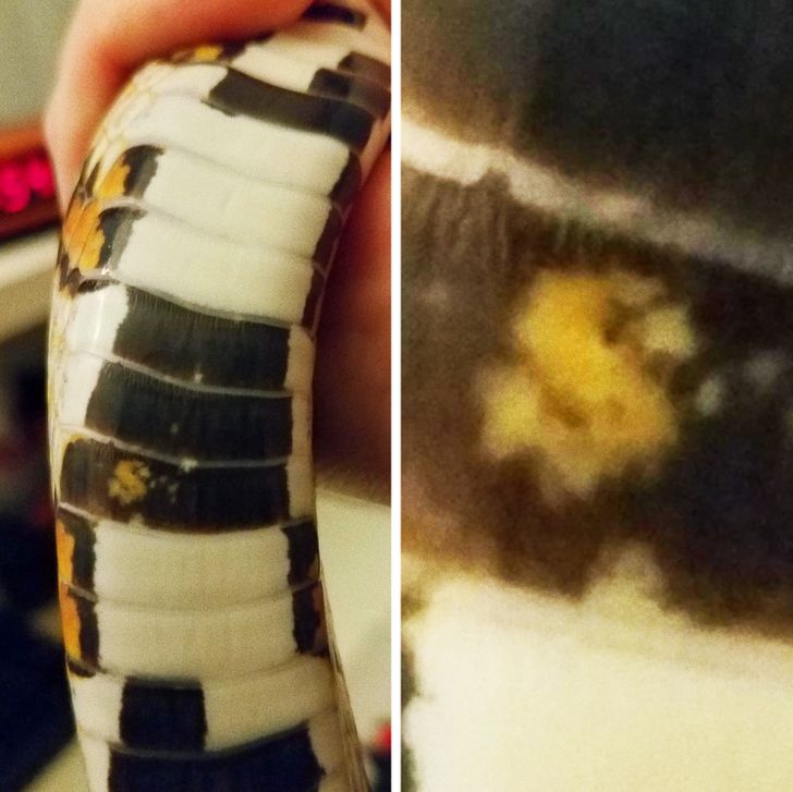 4c92715eaf9f9b914de5f7e8e4