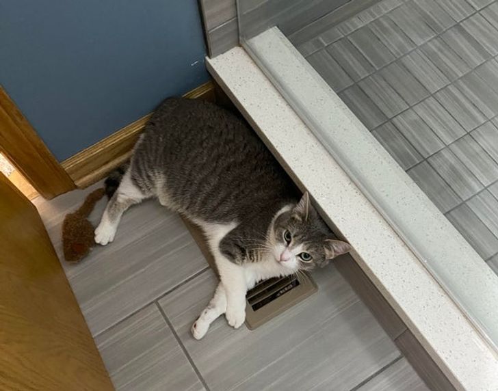 4c92a95b42b7d44ce8261e94b2