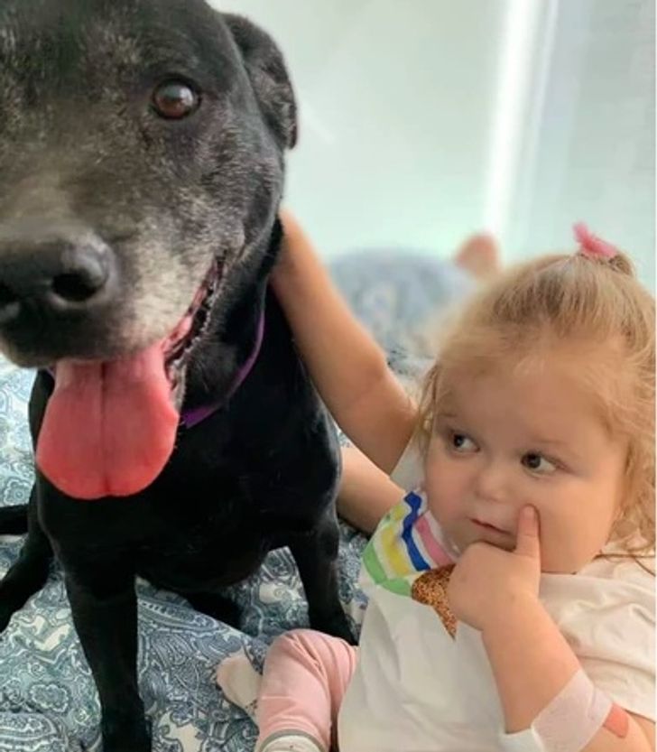 4ca3225ce79c5c78a06cb326c2