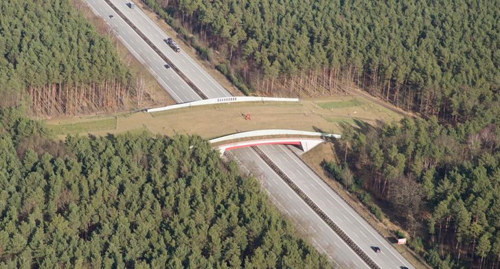 4caa845b28b7aabcdb60f67a6d