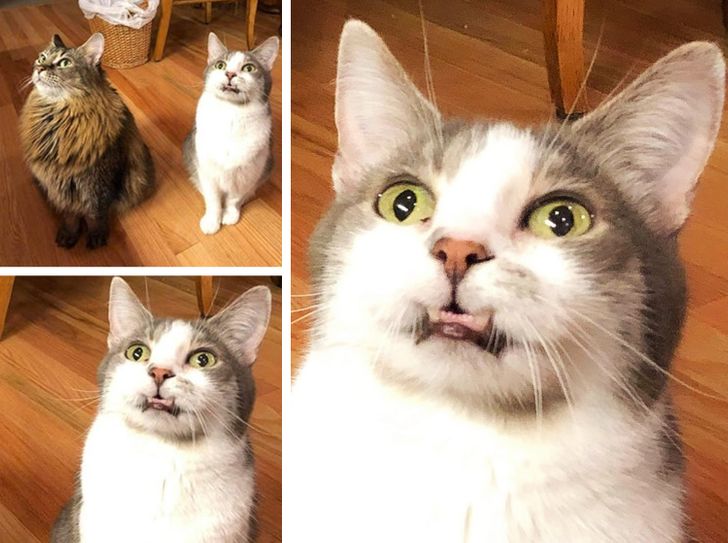 4cb3c25986b1b561a75d69fff1