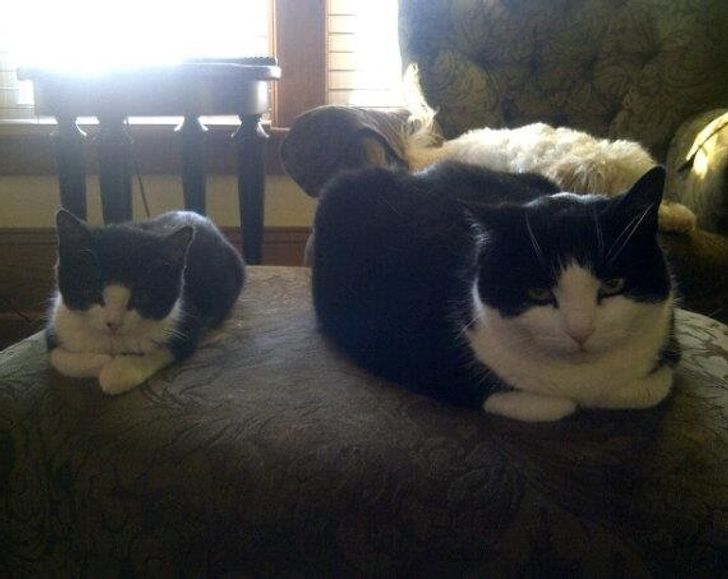 4cb58a5919a9bb902bd2c599e2