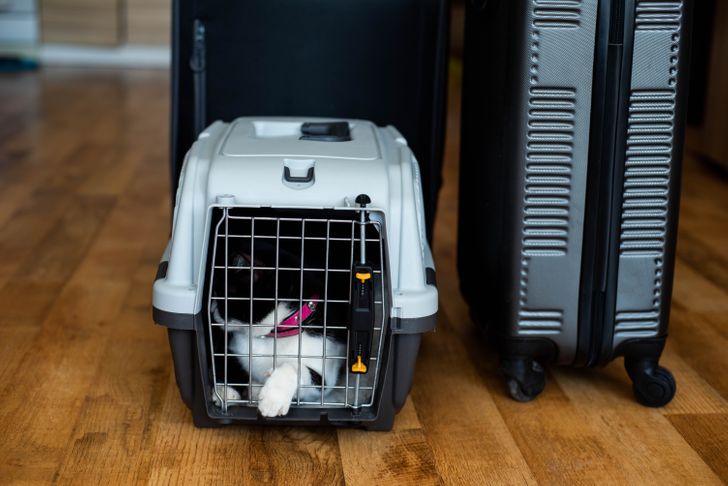 4cb92c58b1840bf85c47639414