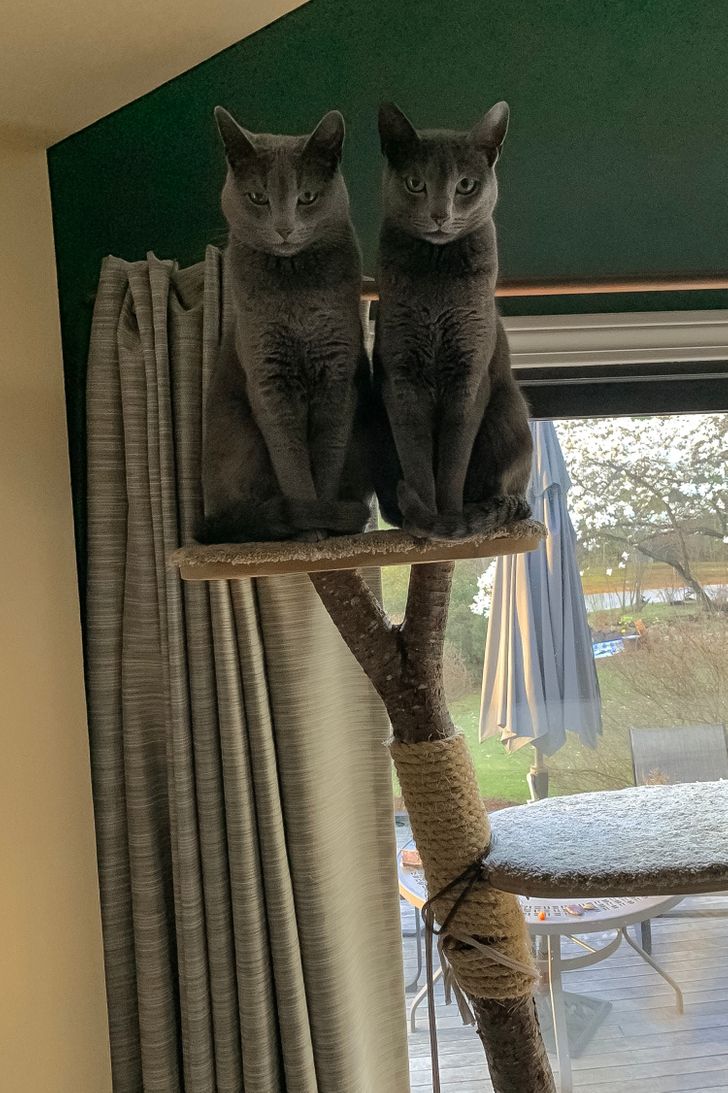 4cc30a5c438174f6bcf4c2a749 4cc30a5c438174f6bcf4c2a749