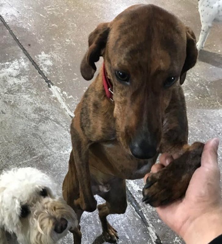 4cc9eb5f7e90bb241824746a04