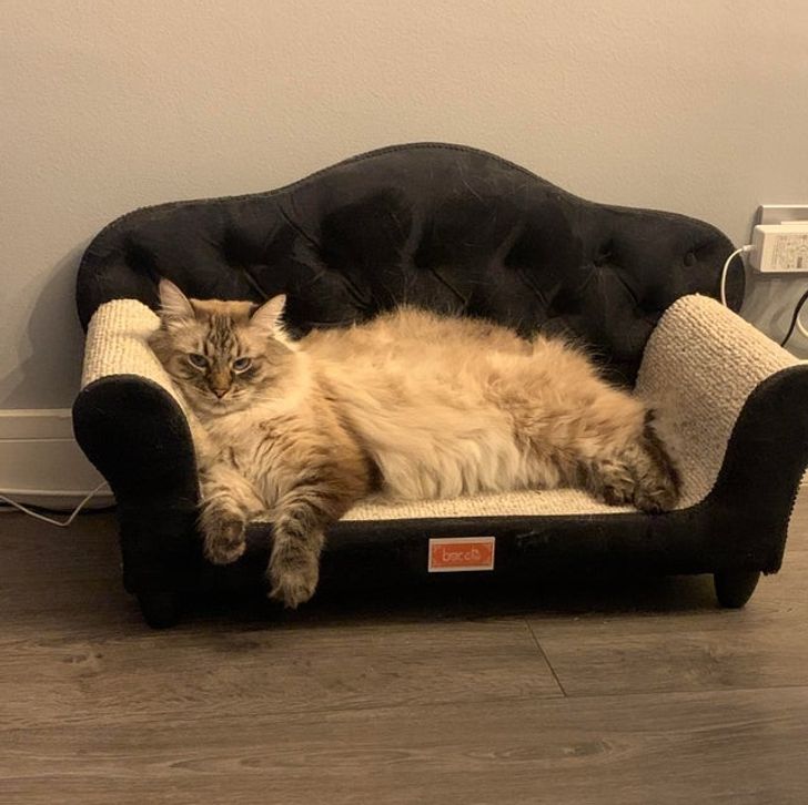 4ccbd659d08fe608356c49a723