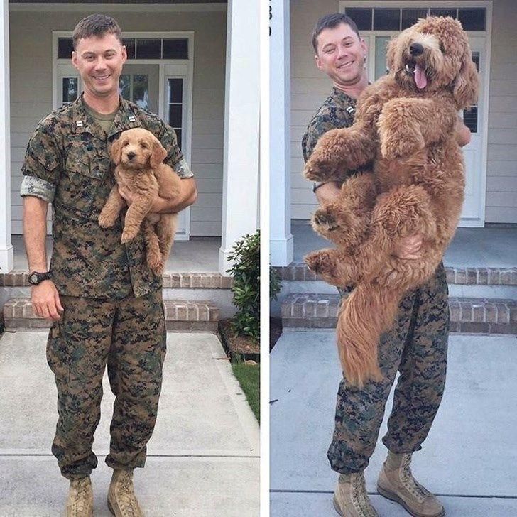 4ccd1c5679ae258b3710b3c155